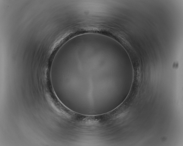 X0000113050491200908271534