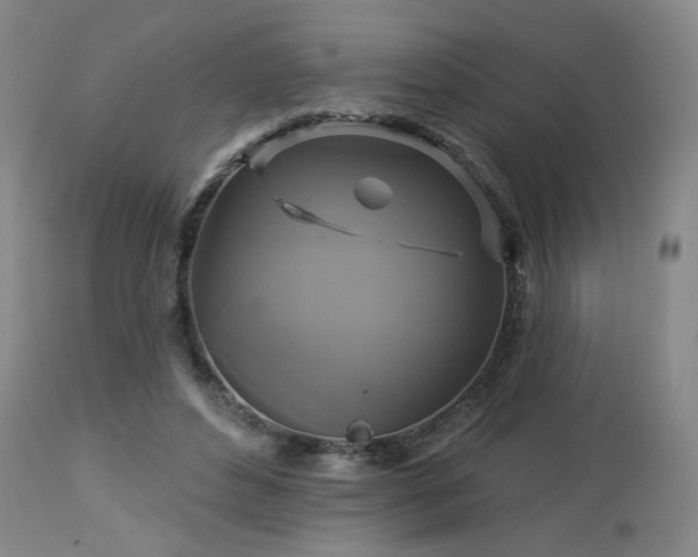 X0000113050496200908271534