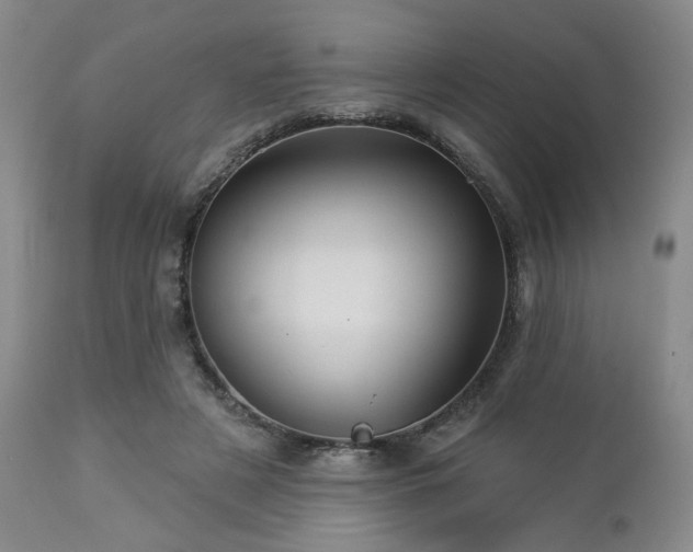 X0000113050497200908271534