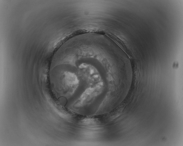 X0000113050499200908271534