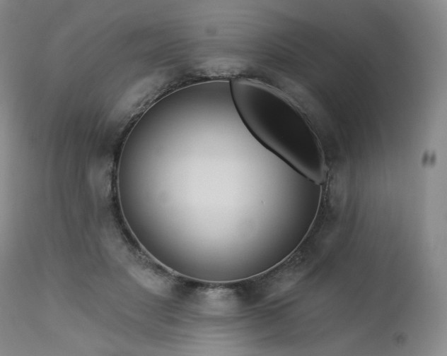 X0000113050501200908271534