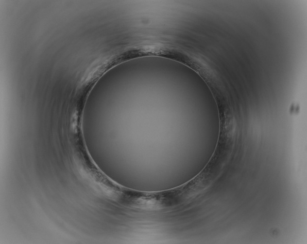 X0000113050502200908271534