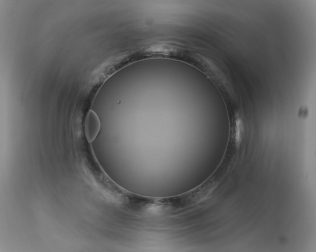 X0000113050504200908271534