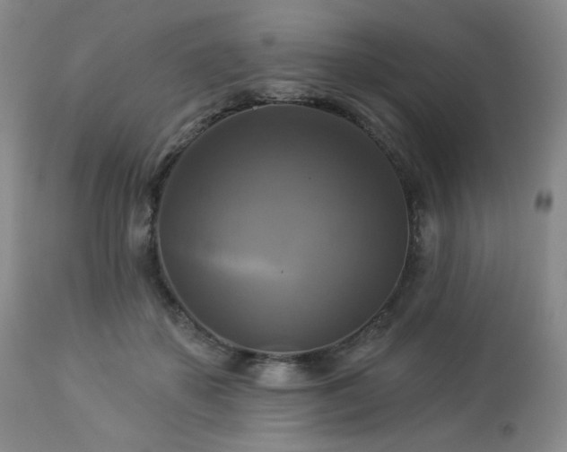 X0000113050507200908271534