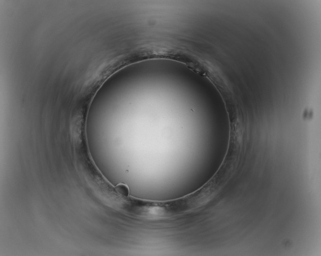 X0000113050509200908271534