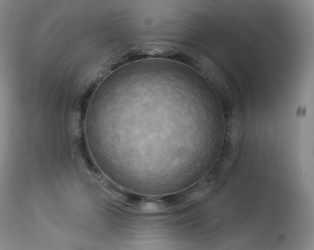 X0000113050510200908271534