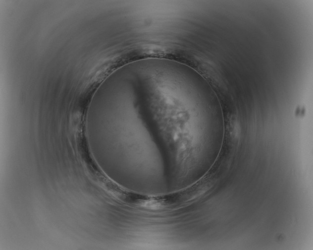 X0000113050511200908271534