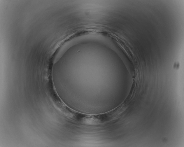 X0000113050512200908271534