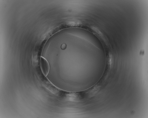 X0000113050516200908271534