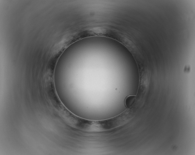 X0000113050518200908271534