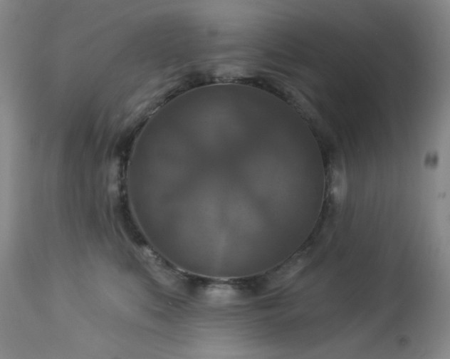 X0000113050519200908271534