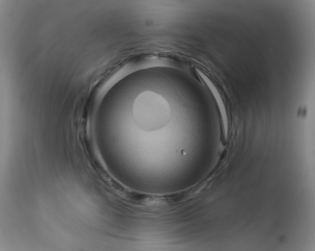 X0000113050520200908271534