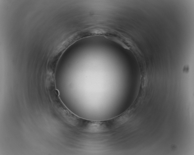 X0000113050521200908271534