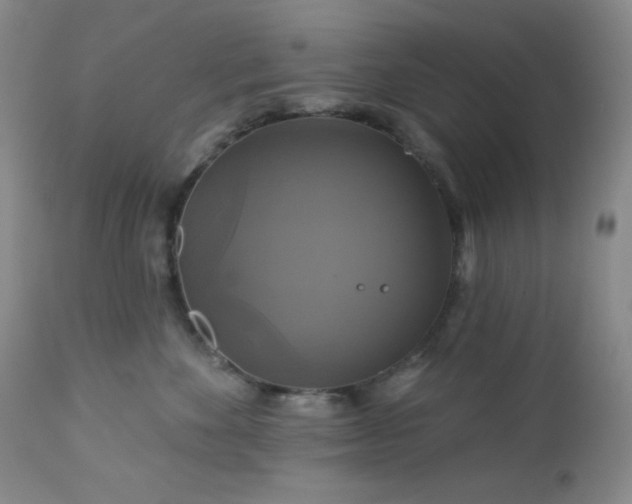 X0000113050524200908271534