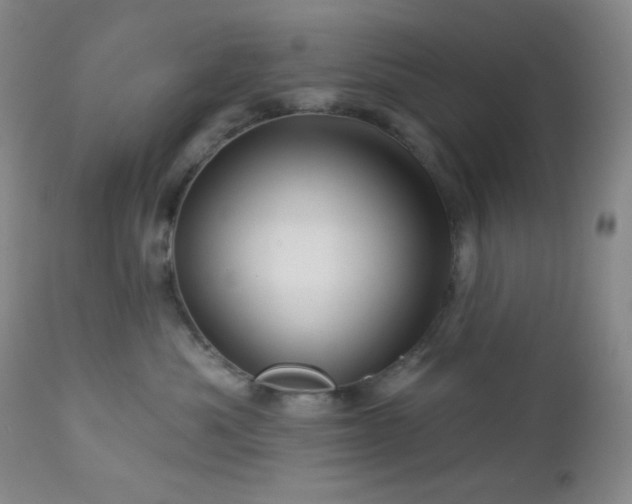 X0000113050525200908271534