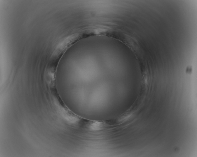 X0000113050527200908271534