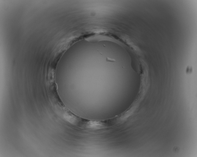 X0000113050528200908271534