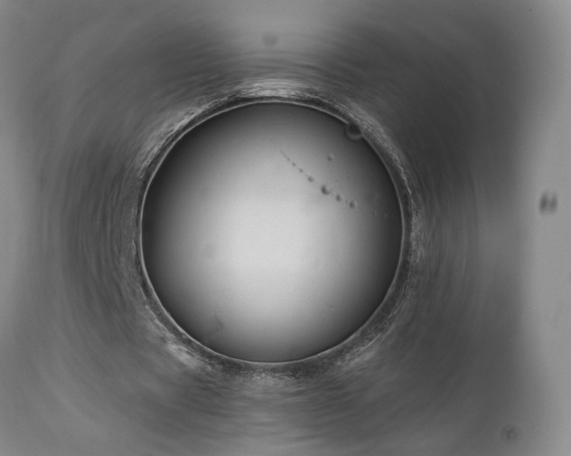 X0000113050529200908271533