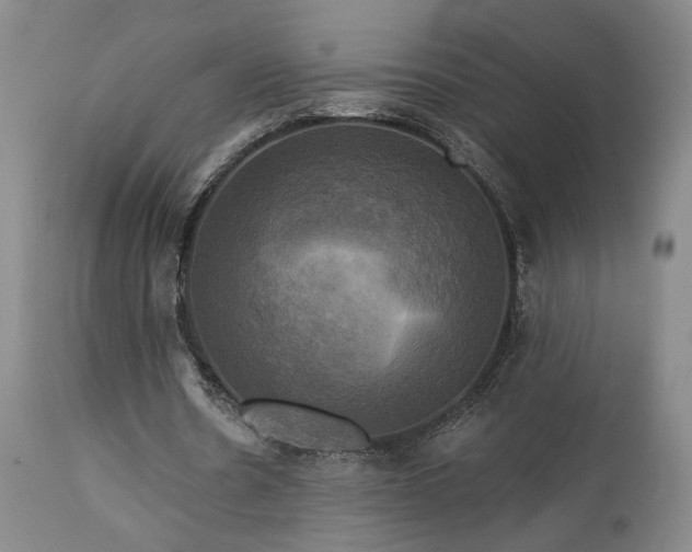 X0000113050530200908271533