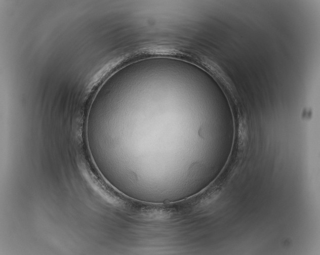 X0000113050533200908271533