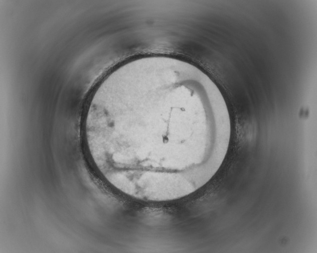 X0000113050534200908271533
