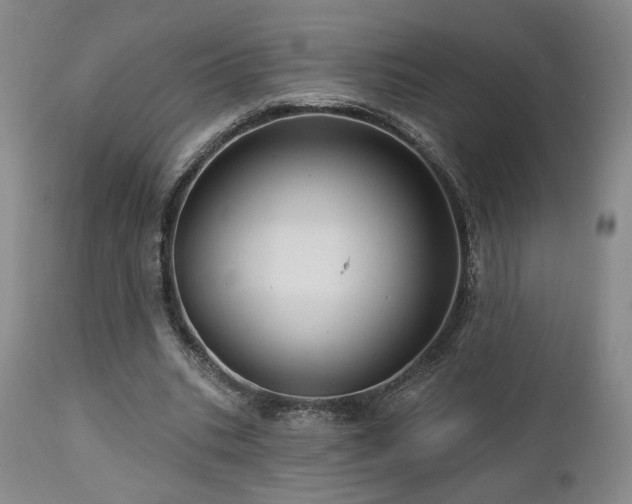 X0000113050535200908271533
