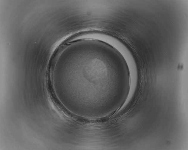 X0000113050536200908271533