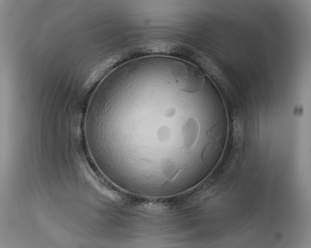 X0000113050537200908271533