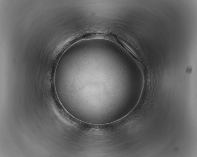 X0000113050538200908271533