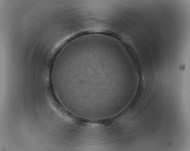 X0000113050539200908271533
