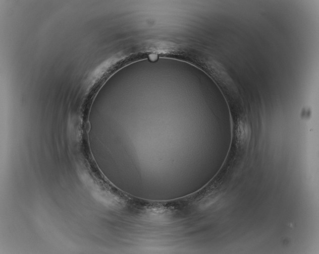 X0000113050540200908271533