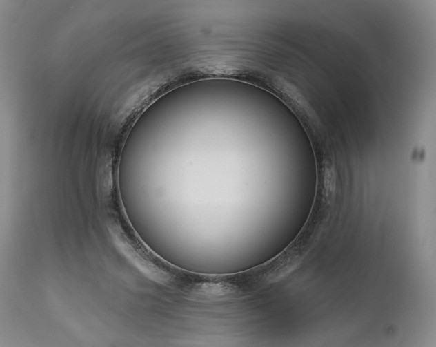 X0000113050541200908271533