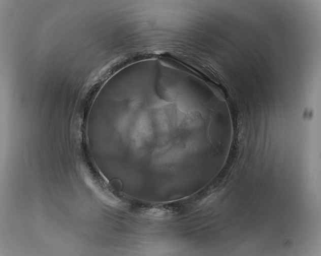 X0000113050542200908271533