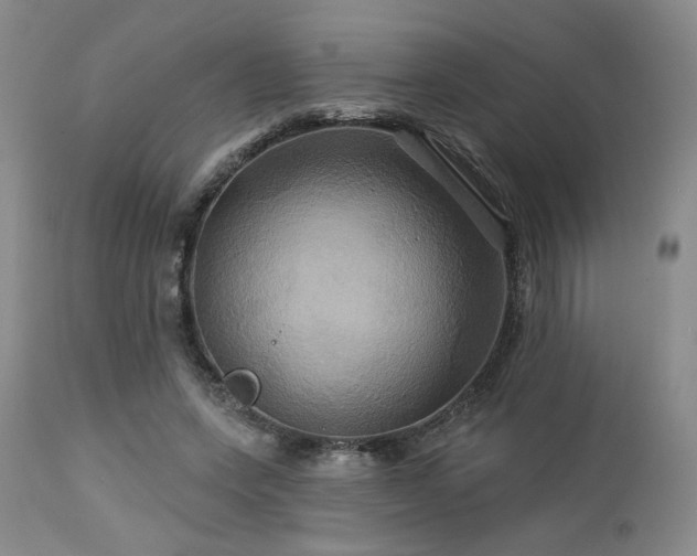 X0000113050543200908271533