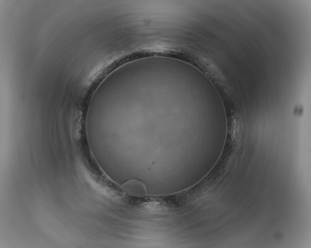 X0000113050544200908271533