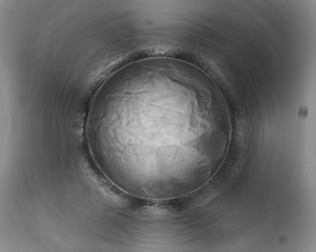 X0000113050545200908271533