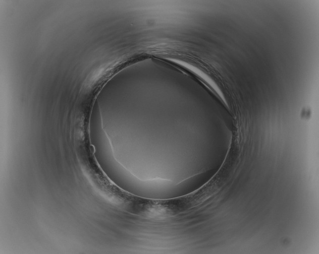 X0000113050547200908271533