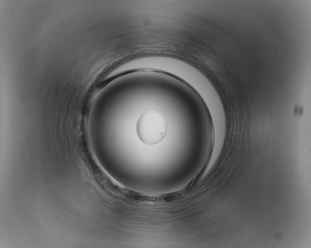 X0000113050548200908271533