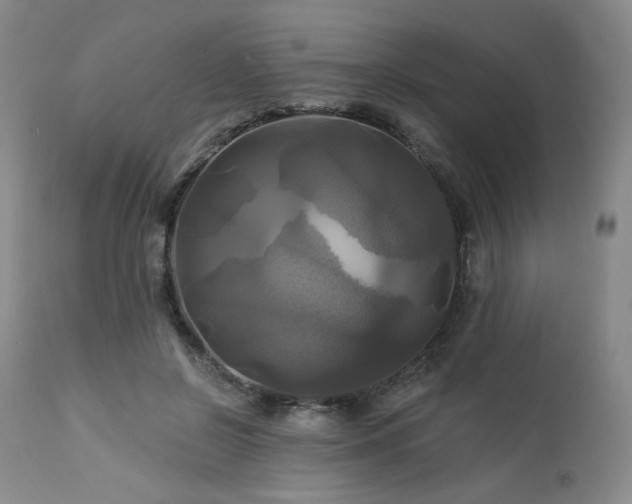 X0000113050550200908271533