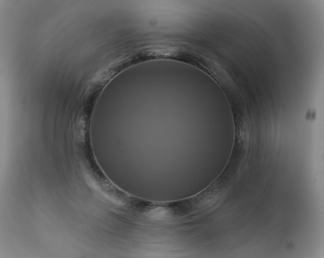 X0000113050551200908271533
