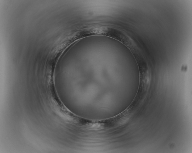 X0000113050553200908271533