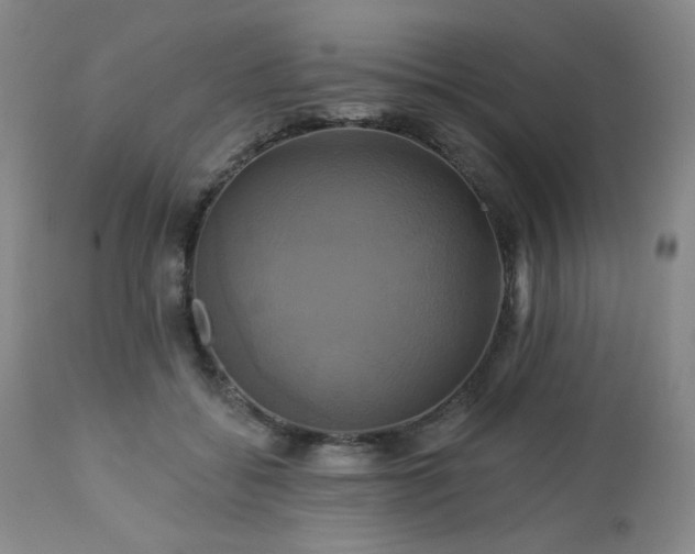 X0000113050556200908271534