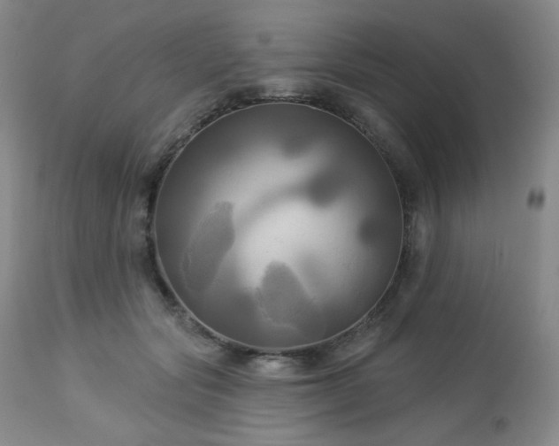 X0000113050557200908271534