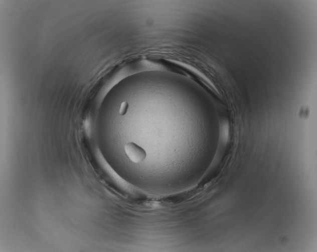 X0000113050558200908271534