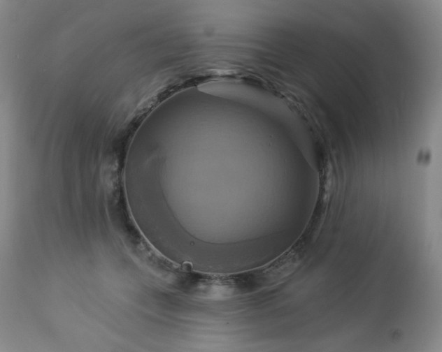 X0000113050559200908271534