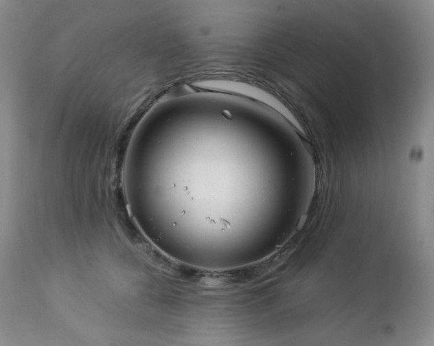 X0000113050560200908271534