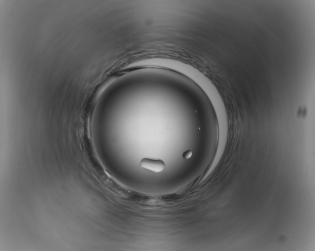 X0000113050562200908271534