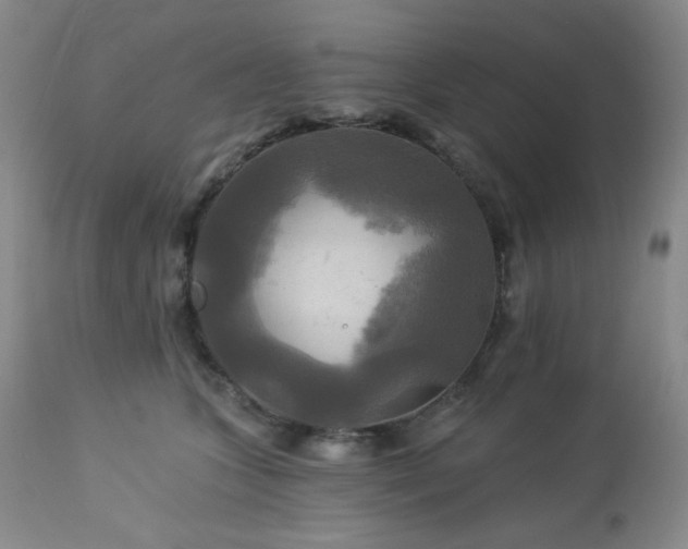 X0000113050563200908271534