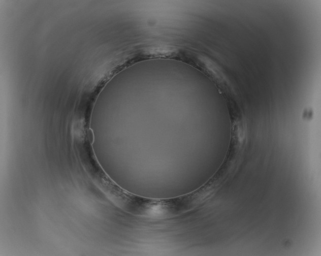 X0000113050564200908271534