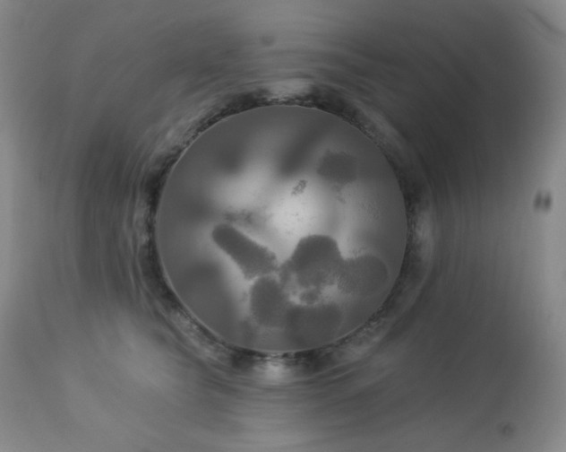 X0000113050565200908271534